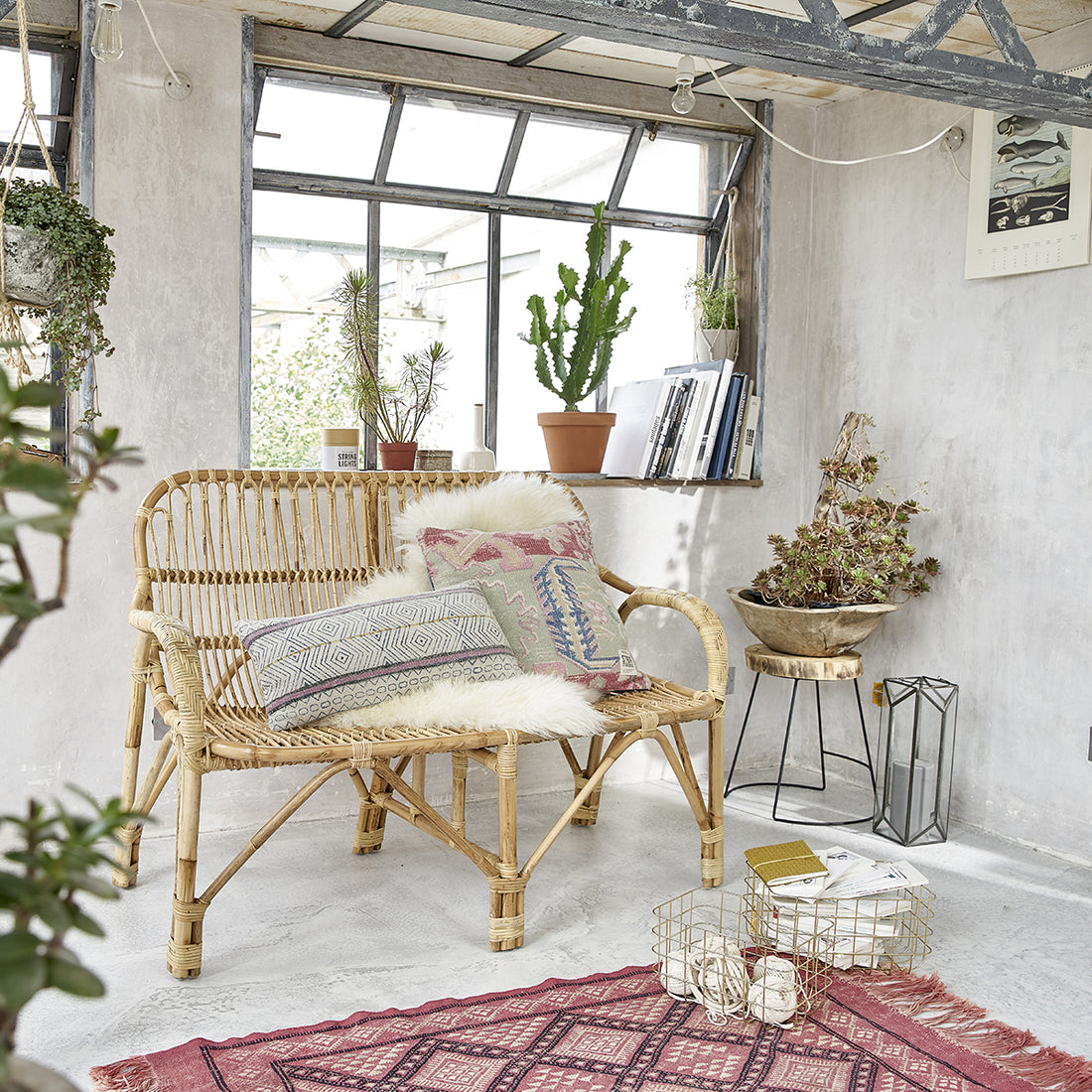 PAOLA - Banco de ratán